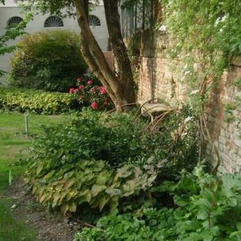 Palazzo in vendita a Padova (Padova)