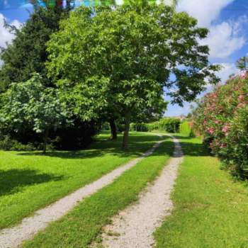 Bifamiliare in vendita a Padova (Padova)
