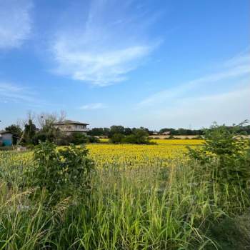 Capannone in vendita a Padova (Padova)