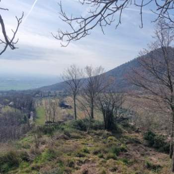 Rustico in vendita a Baone (Padova)