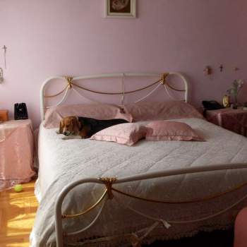 Appartamento 3 camere a Vittorio Veneto