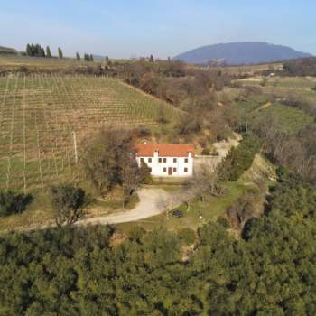 Villa in vendita a Cinto Euganeo (Padova)