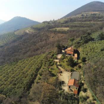 Villa in vendita a Cinto Euganeo (Padova)