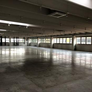 Capannone in affitto a Padova (Padova)