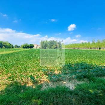 Trifamiliare in vendita a San Giorgio delle Pertiche (Padova)