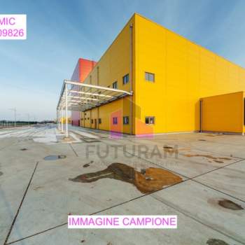 Capannone in vendita a Piazzola sul Brenta (Padova)