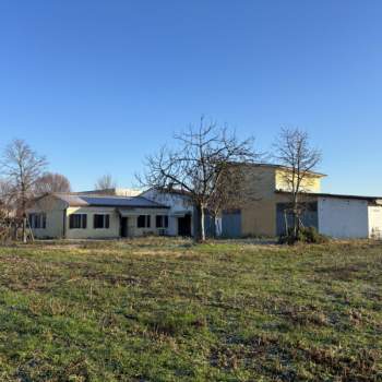 Casa singola in vendita a Tribano (Padova)