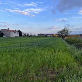 Terreno in vendita a Codevigo (Padova)