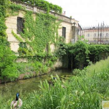 Appartamento in affitto a Vicenza (Vicenza)