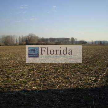 Terreno in vendita a Agna (Padova)