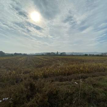 Terreno in vendita a Cesena (Forlì-Cesena)