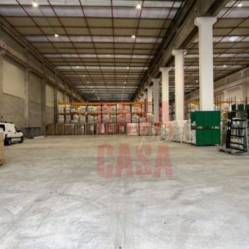 Capannone in affitto a Cittadella (Padova)