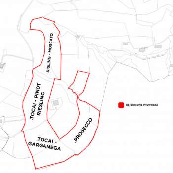 Terreno in vendita a Cinto Euganeo (Padova)
