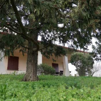 Casa a schiera in vendita a Torrile (Parma)