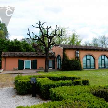 Ufficio in affitto a Padova (Padova)