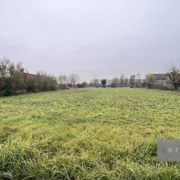 Terreno in vendita a Villa del Conte (Padova)