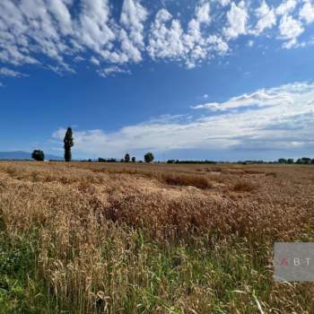 Terreno in vendita a Cittadella (Padova)