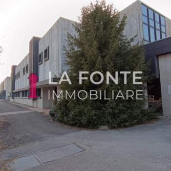 Capannone in affitto a Vigonza (Padova)