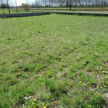 Terreno in vendita a Trevignano (Treviso)