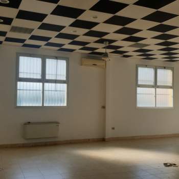 Magazzino in affitto a Conselve (Padova)