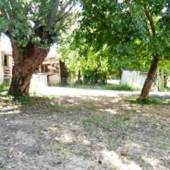 Rustico in vendita a Agna (Padova)