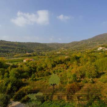 Terreno in vendita a Arqu&agrave; Petrarca (Padova)