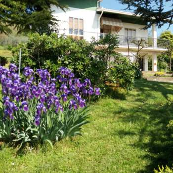Casa singola in vendita a Lozzo Atestino (Padova)