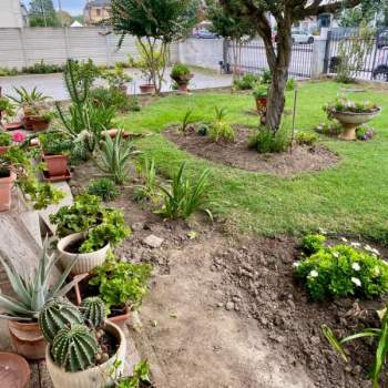 Casa singola in vendita a Bovolenta (Padova)