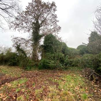 Villa in vendita a Noventa Padovana (Padova)