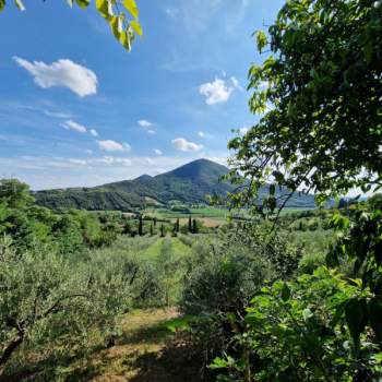 Casa singola in vendita a Baone (Padova)