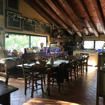 Villa in vendita a Vo' (Padova)