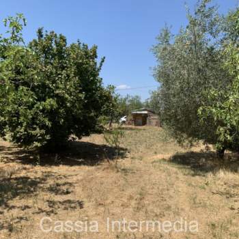 Terreno in vendita a Castel Sant'Elia (Viterbo)
