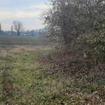 Rustico in vendita a Teolo (Padova)