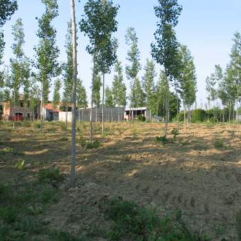 Rustico in vendita a Massanzago (Padova)