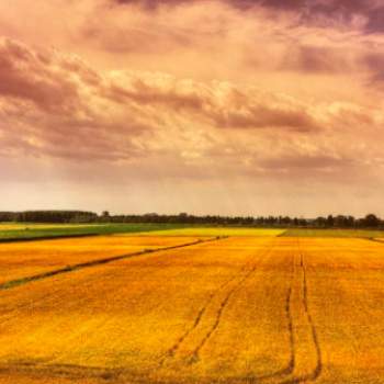 Terreno in vendita a Carpi (Modena)