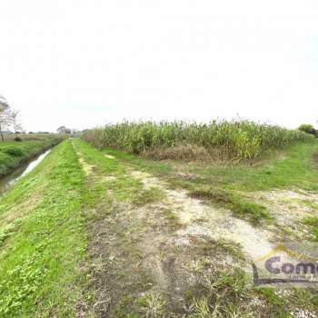 Terreno in vendita a Saccolongo (Padova)