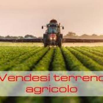 Terreno in vendita a Ostellato (Ferrara)