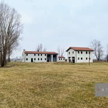 Casa singola in vendita a Piazzola sul Brenta (Padova)