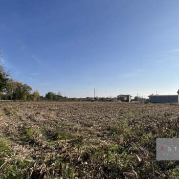 Terreno in vendita a Camposampiero (Padova)