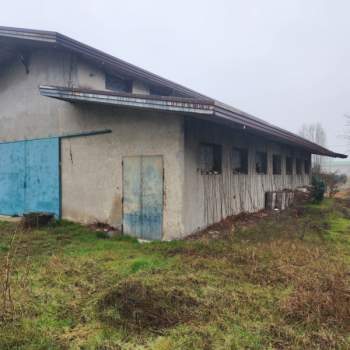 Capannone in vendita a Padova (Padova)