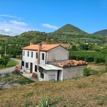 Casa singola in vendita a Cinto Euganeo (Padova)