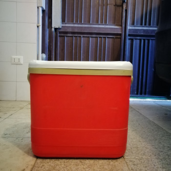 FRIGORIFERO PORTATILE 
