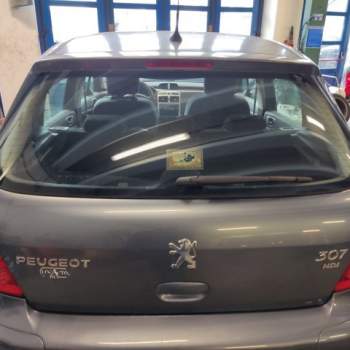 Portellone nudo PEUGEOT 307  del 2006