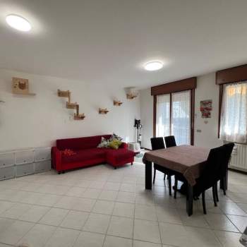 Appartamento in vendita a Vigonovo (Venezia)