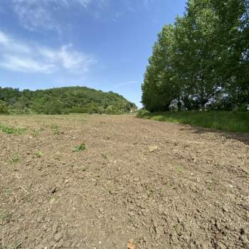 Terreno in vendita a Teolo (Padova)