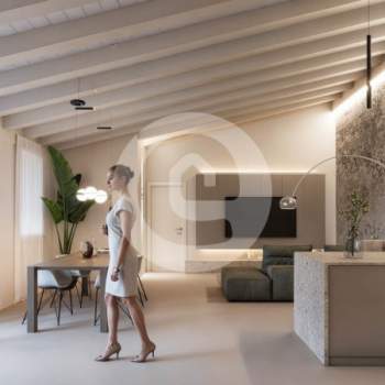 Appartamento in vendita a Santa Giustina in Colle (Padova)