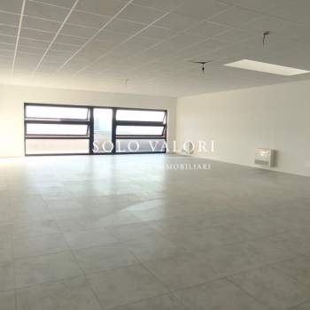 Ufficio in affitto a Castelfranco Veneto (Treviso)