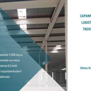 Capannone in affitto a Treviso (Treviso)