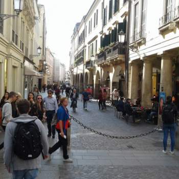 Negozio in affitto a Padova (Padova)