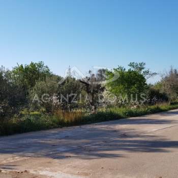 Terreno in vendita a Racale (Lecce)